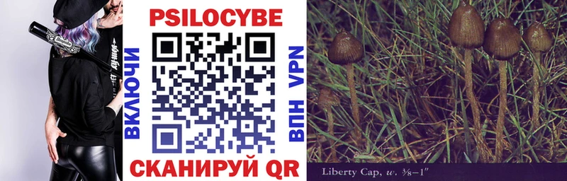 Галлюциногенные грибы GOLDEN TEACHER  Купить закладки  Хабаровск 